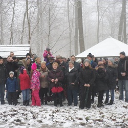 Braunkohlwanderungen