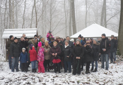 Braunkohlwanderungen